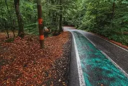  باران پاییزی در پارک جنگلی النگدره +عکس