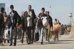 فرار افغان ها از ایران! | چرا مهاجران افغان ایران را ترک می کنند؟