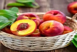 خواص بی نظیر و معجزه آسای شلیل | خواصی که شاید نمیدانید