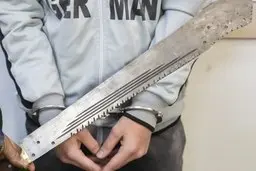 اجرای حکم اعدام ۵ سارق مسلح در کرج | سارقان گوش قربانیان خود را می‌بریدند