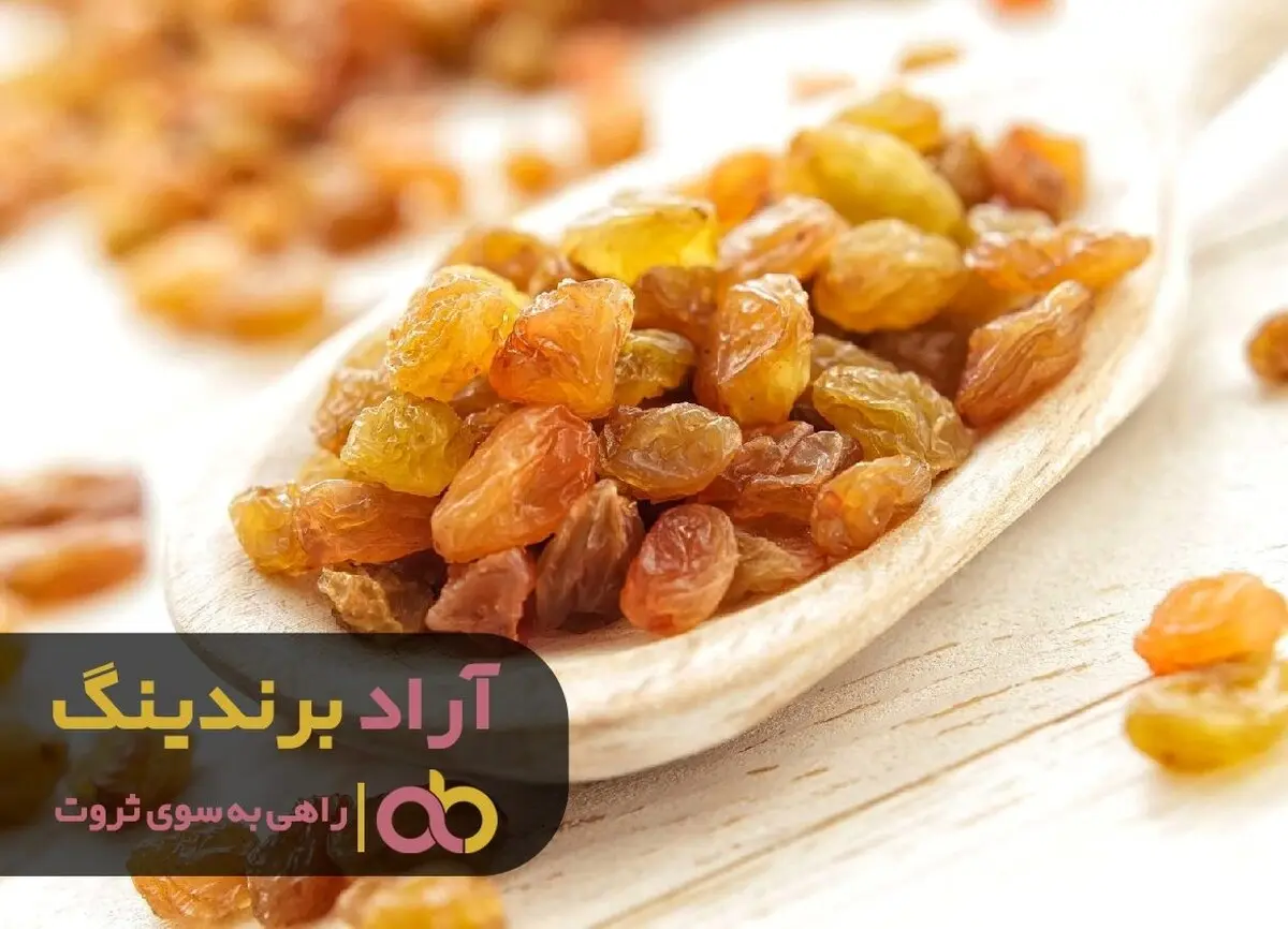 با این تکنیک مانند یک عقاب تیزبین در آسمان ثروت پرواز کردم 