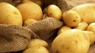 با این ترفند سبزیجات خودتان را بکارید! | آموزش کاشت سیب‌زمینی در تراس خانه +ویدئو