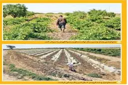 بازگشت آب به زرندیه پس از 23سال | روزهای خوش  خشکرود