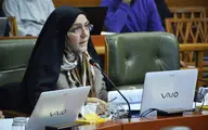 
شورای شهر |  شهردار تهران نمی تواند از تخلفات چشم پوشی کند
