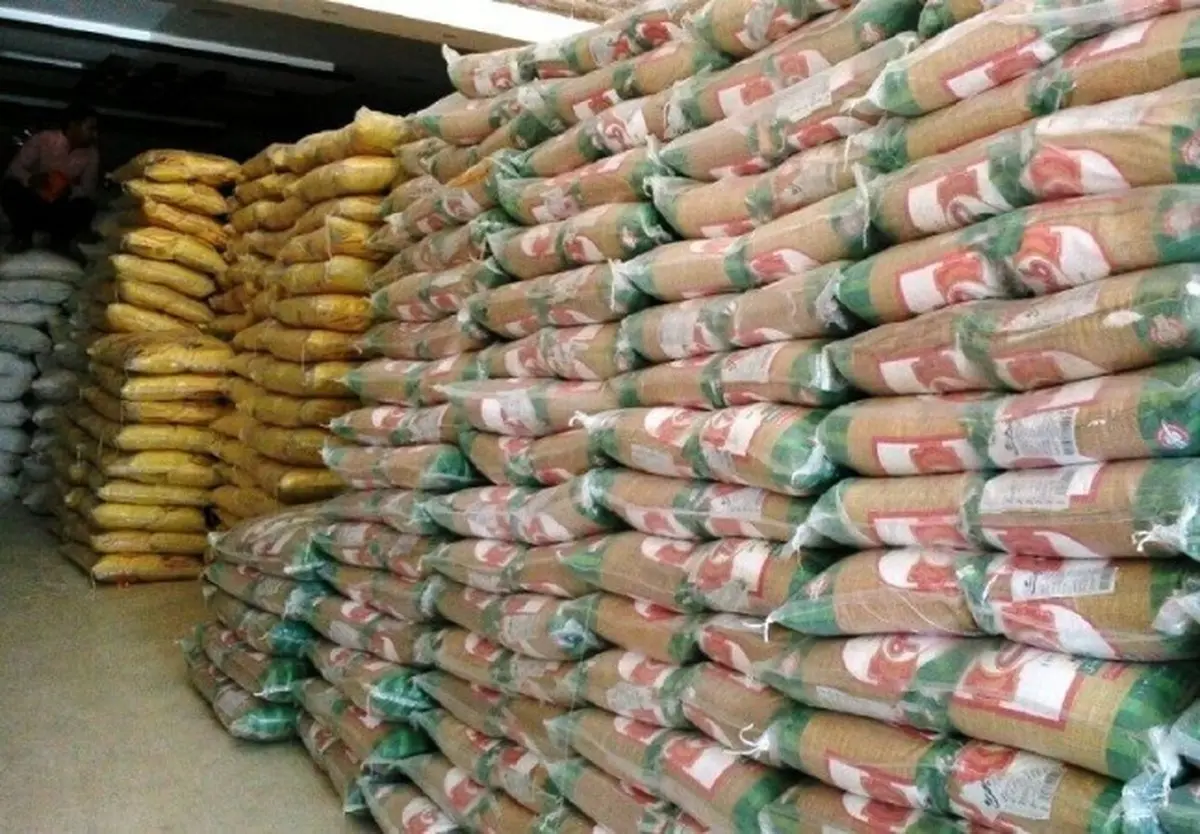اعظمی: زمزمه حذف ارز ترجیحی باعث احتکار برنج شد