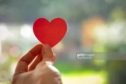 قانون بقای مهربان‌ترین+ویدئو