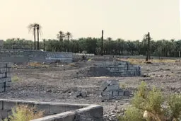 نخلستان‌ ساختمان می‌شود | گزارشی از خشکاندن عمدی باغ‌های بم و ساخت‌وسازهای غیرمجاز ‏