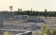نخلستان‌ ساختمان می‌شود | گزارشی از خشکاندن عمدی باغ‌های بم و ساخت‌وسازهای غیرمجاز ‏
