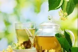 ترفندهای نگهداری گیاه سنبل الطیب در خانه | با این گیاه در خانه از چشم بد دور بمانید گیاهی برای آرامش، از دل باغچه تا فنجان چای