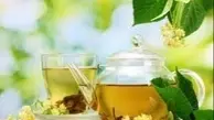 ترفندهای نگهداری گیاه سنبل الطیب در خانه | با این گیاه در خانه از چشم بد دور بمانید گیاهی برای آرامش، از دل باغچه تا فنجان چای