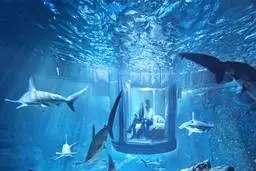 ترسناک ترین هتل جهان که باید بغل کوسه ها زیر آب بخوابی! + ویدئو