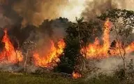 آتش‌سوزی در منطقه بزاغان پارک ملی گلستان | عملیات اطفای حریق به سرعت اجرایی شد