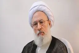 نظر یک عضو مجمع تشخیص درباره واردات خودرو | زننده است در جمهوری اسلامی،افرادی ماشین خارجی سوار شوند
