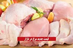 قیمت جدید مرغ اعلام شد + جدول