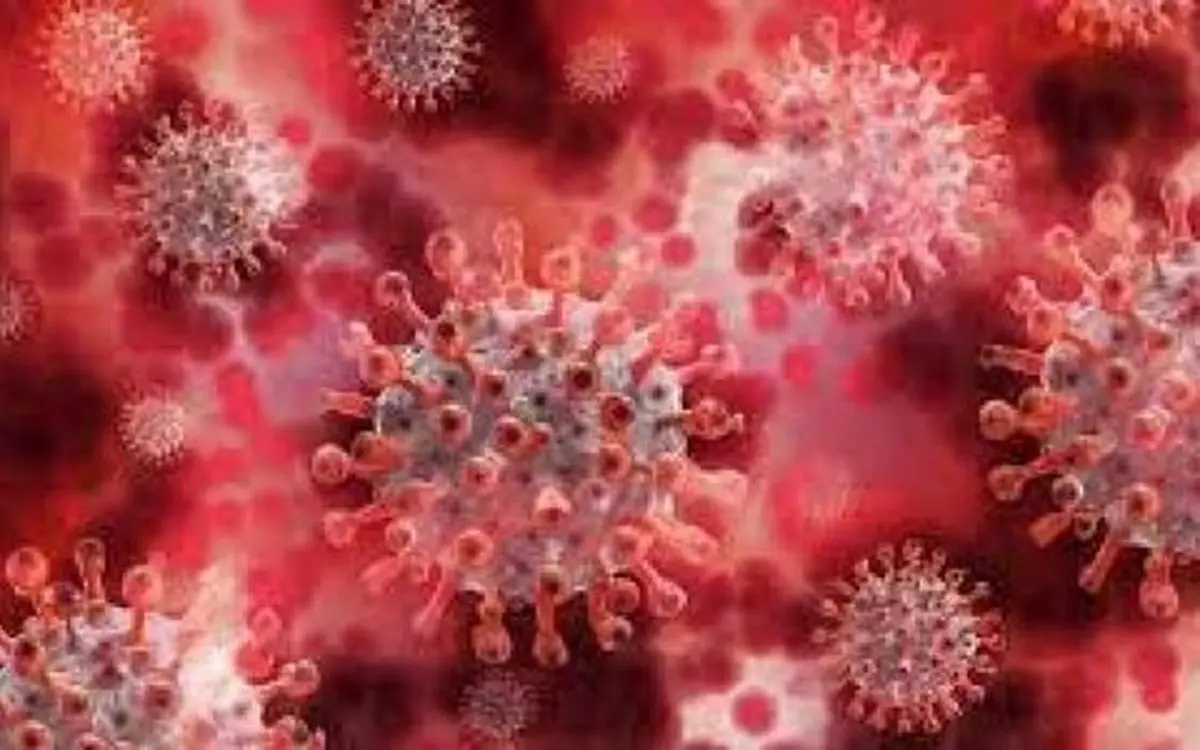  نکات مهم درباره گونه دلتای ویروس کرونا 