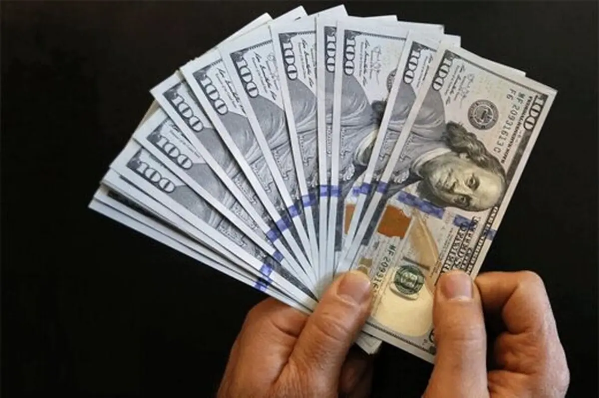 حذف ارز ۴۲۰۰ تومانی قطعی شد+ویدئو