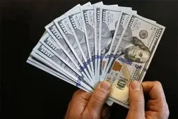 حذف ارز ۴۲۰۰ تومانی قطعی شد+ویدئو