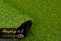 اصولی که جرقه ثروتمند شدن را در ذهنم روشن کرد