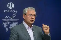 ربیعی: ۱۹۵ ایراد به بودجه مصوبه مجلس وارد دانستیم.