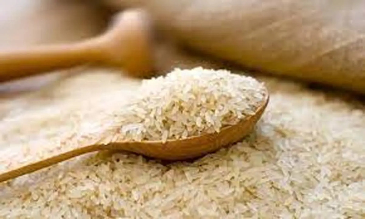 قیمت برنج سربه فلک کشید