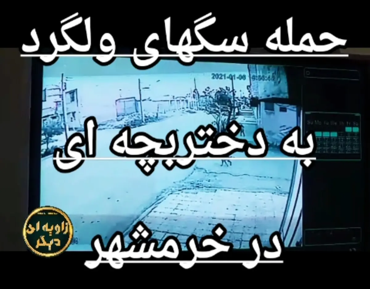 حمله سگهای ولگرد به دختر بچه ای در خرمشهر + ویدئو