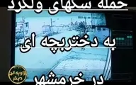 حمله سگهای ولگرد به دختر بچه ای در خرمشهر + ویدئو
