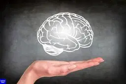 تأثیر مصرف فست فود بر حافظه کوتاه‌مدت
