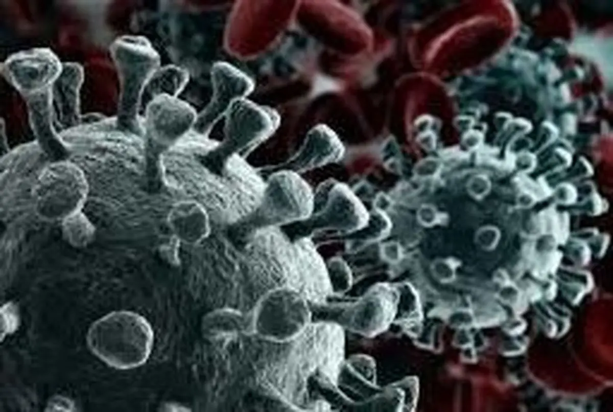 کروناویروس می تواند به عروق خونی کودکان آسیب برساند