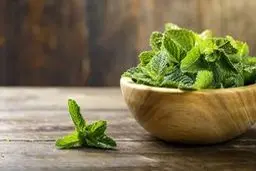 نعناع تکثیر کردن قلق داره اینطوری قلمه بزن | نحوه قلمه زدن نعناع +ویدئو