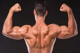 مواد غذایی مفید برای سلامت ذهن و جسم 