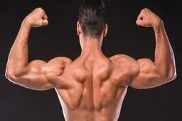 مواد غذایی مفید برای سلامت ذهن و جسم 