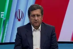 همتی: در کارزار انتخاباتی، برنامه‌ام، دادن حق وتو به سازمان محیط زیست و افزایش اقتدار و بودجهٔ این سازمان برای پیشگیری از مصیبتی بود که مشابهش را در خوزستان می‌بینیم