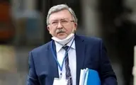 
واکنش سفارت روسیه به منتقدان نقش اولیانوف در مذاکرات وین