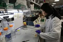 
پژوهشگران: ممکن است ویروس کرونا مستقیما به مغز حمله کند
