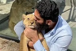 واکنش محیط زیست به فیلم علی زند وکیلی با یک توله شیر: منزل مسکونی، محل نگهداری از حیات وحش نیست | قطعا این ماجرا را پیگیری می‌کنیم