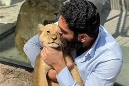 واکنش محیط زیست به فیلم علی زند وکیلی با یک توله شیر: منزل مسکونی، محل نگهداری از حیات وحش نیست | قطعا این ماجرا را پیگیری می‌کنیم