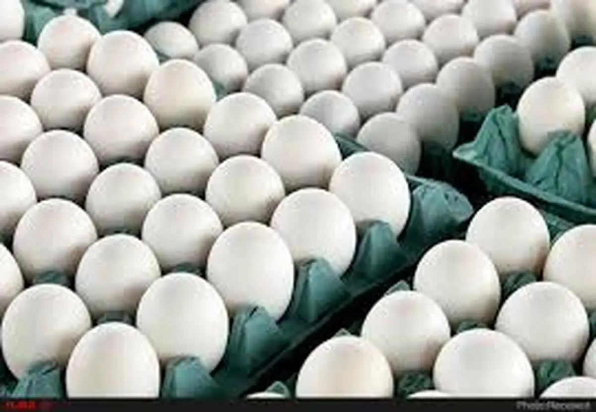 

قیمت رسمی هرکیلو تخم مرغ برای مصرف کننده
