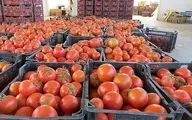 چرا عراق ۲۰۰ کامیون گوجه‌ ایران را برگشت داد؟  