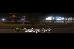 جولان سگهای ولگرد در خرمشهر + ویدئو