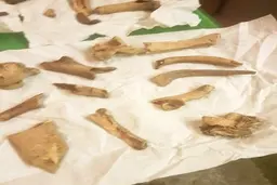 
مسافرخانه ارواح+تصاویر
