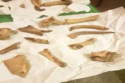 
مسافرخانه ارواح+تصاویر
