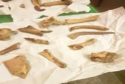 
مسافرخانه ارواح+تصاویر
