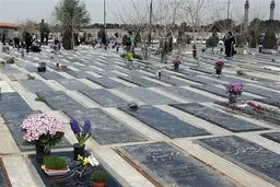 صحنه عجیب در قبرستان | دزدی عجیب | سرقت سنگ مزار!