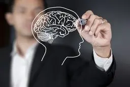 سکوت کنید تا مغزتان سلامت بماند