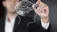 سکوت کنید تا مغزتان سلامت بماند