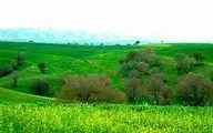 شدت آتش سوزی کوه های دهستان چله شهرستان گیلانغرب را ببینید | شدت گرفتن آتش سوزی در این دهستان +تصاویر