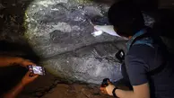 کشف سنگ‌نگاره‌های ماقبل‌تاریخ در تایلند