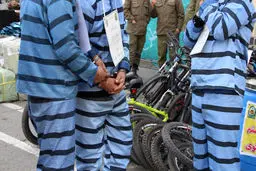 راز وحشتناک 3 زن اجیر شده برای مرد قصاب | انگیزه کارگران قصابی از این کار چه بود! + فیلم و عکس