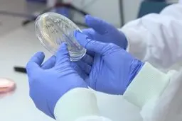 جلوگیری از صادرات ۱۳۷ تن دستکش بهداشتی