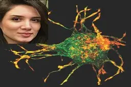 کشف رازهای ترمیم زخم توسط دانشمند ایرانی